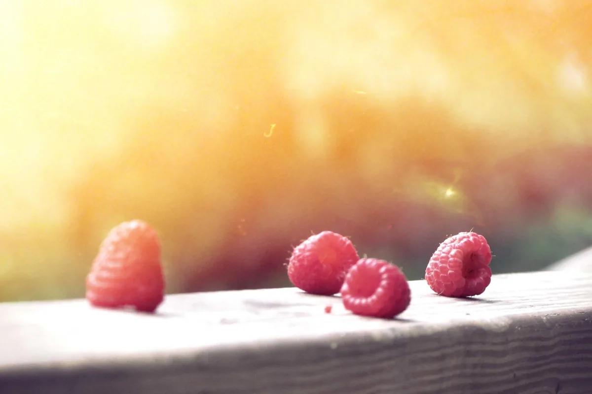 Fresh raspberries on a sunlit table
